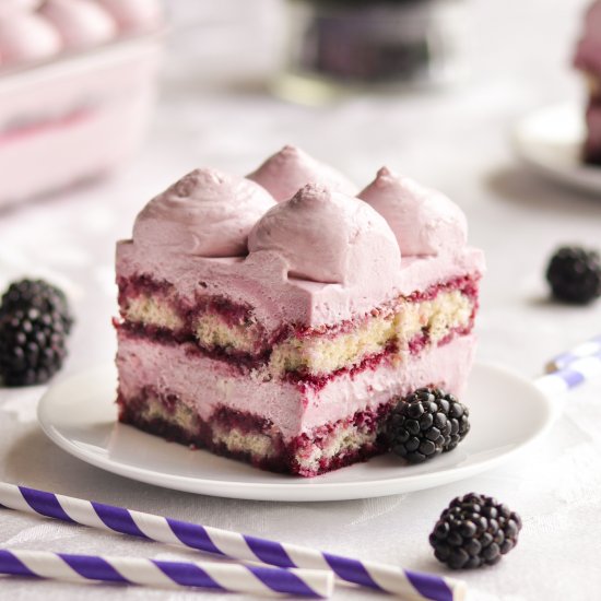 Blackberry Tiramisu