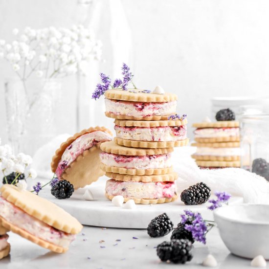 Blackberry Ice Cream Sandwiches