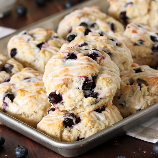 Blueberry Biscuits