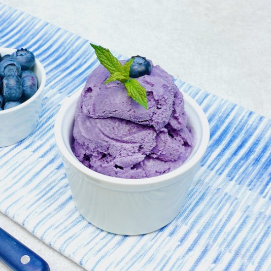 Blueberry Gelato