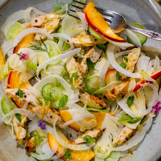 fennel salad/perfect grilled chicke