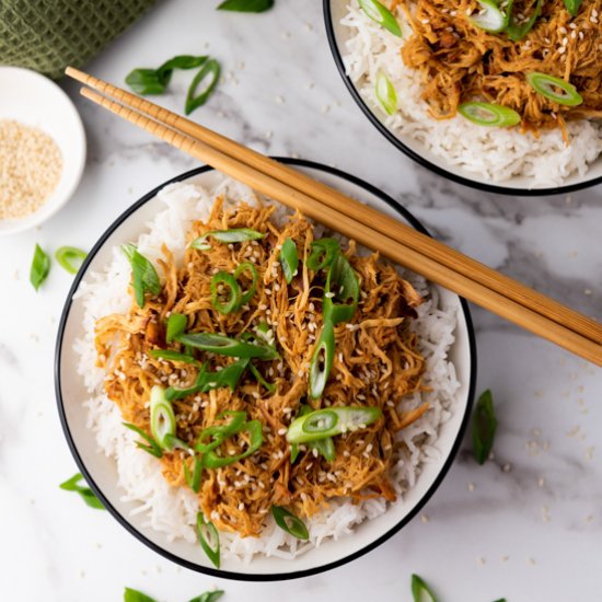 Slow Cooker Honey Garlic Chicken