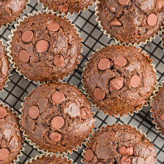 Double Chocolate Muffins