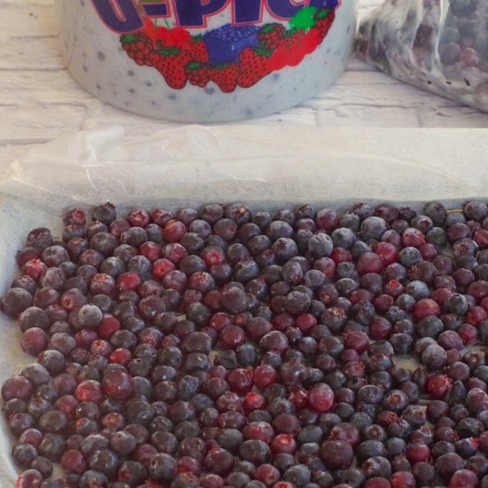 How to freeze Saskatoon berries