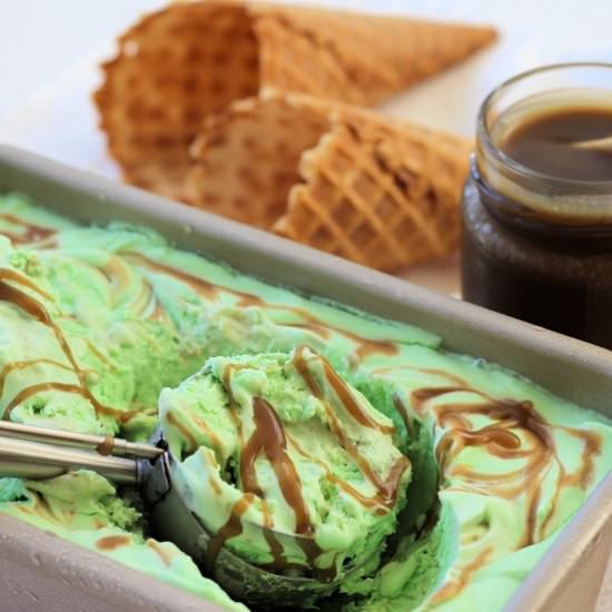 Pandan Salted Gula Melaka Ice Cream