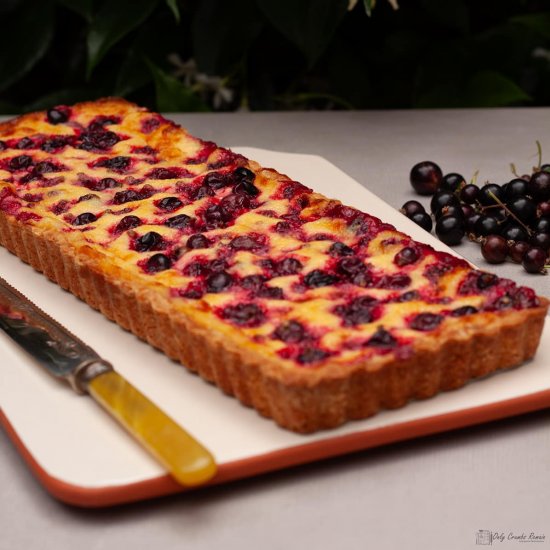 Blackcurrant Vanilla tart