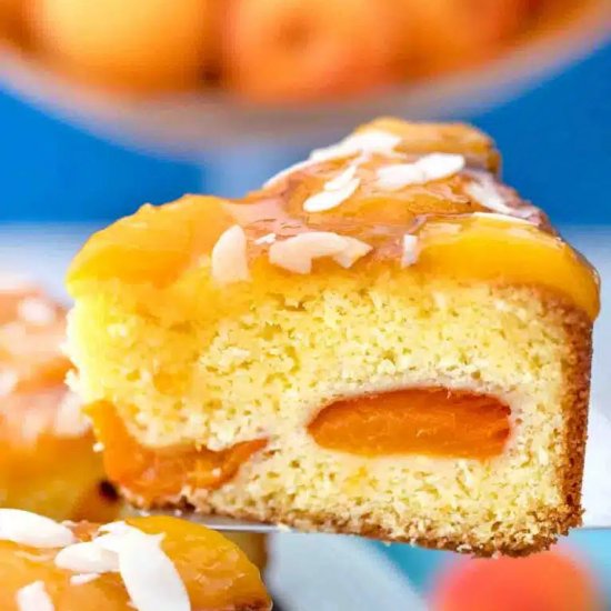 German Apricot Cake