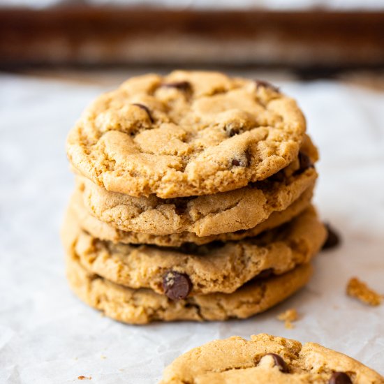 Sunbutter Chocolate Chip Cookies