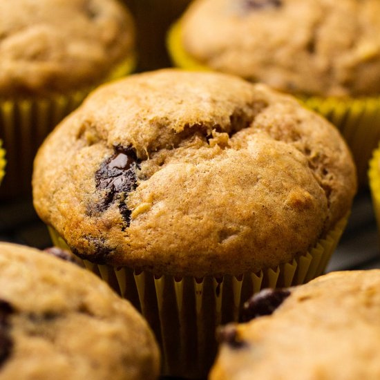 Banana Chocolate Chip Muffins