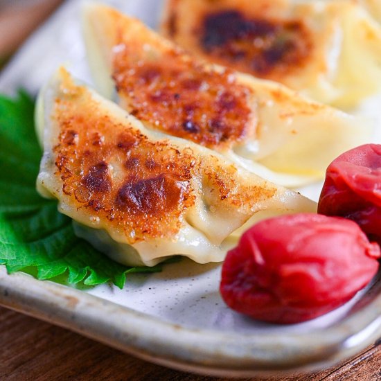 Chicken Gyoza with Ume & Shiso