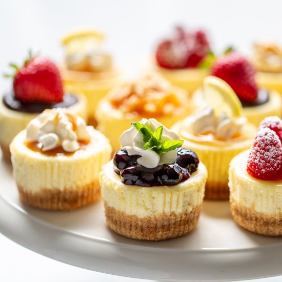 Mini Cheesecake Recipe