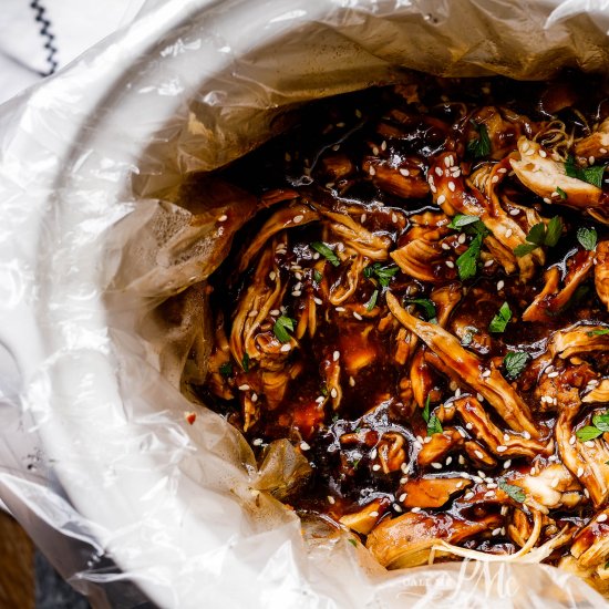 Slow Cooker Hoisin Chicken