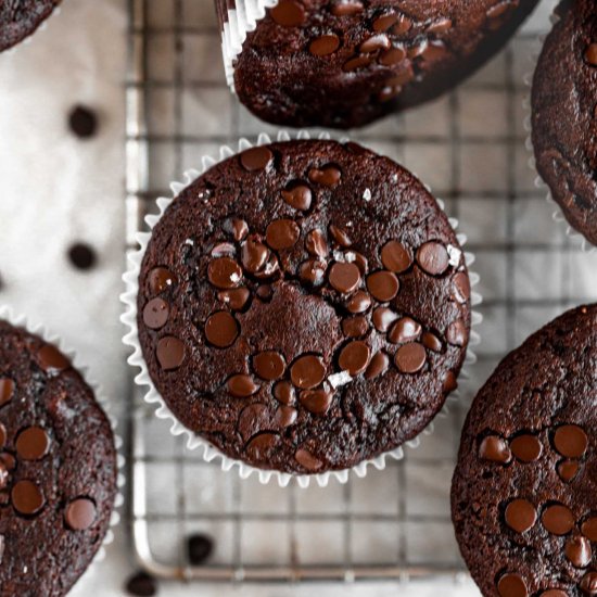 Chocolate Zucchini Muffins