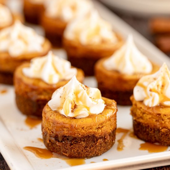 Mini Pumpkin Cheesecakes