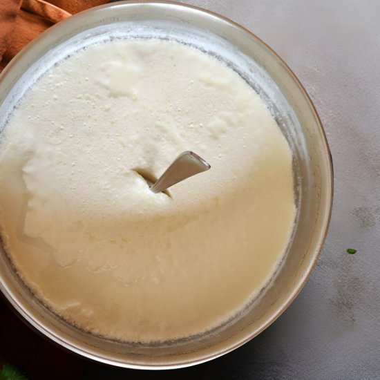 How To Make Yogurt