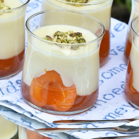 Milk Pudding with Apricot Coulis