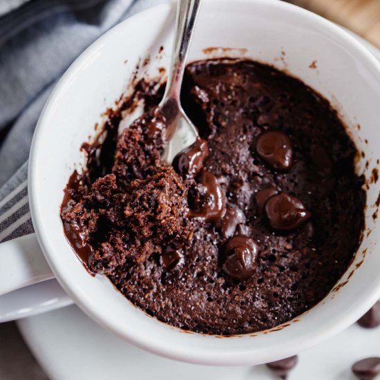 Chocolate Protein Mug Cake