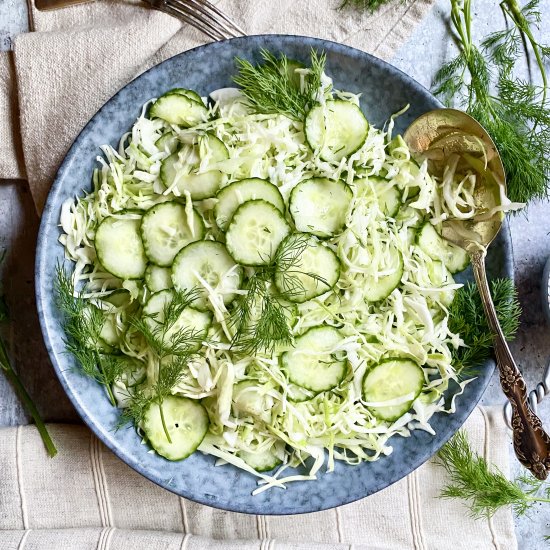 Wine Vinegar Cabbage Slaw