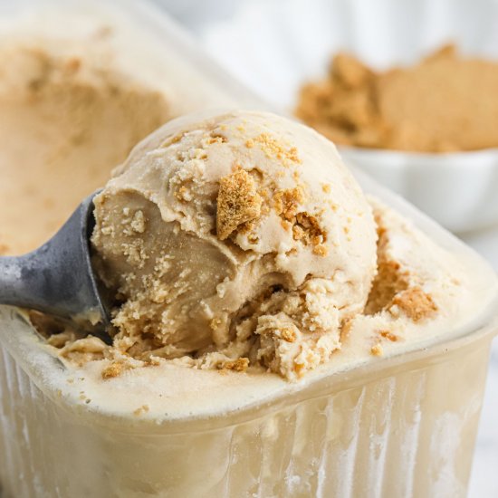 Cookie Butter Ice Cream