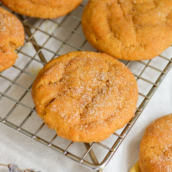 Vegan Pumpkin Snickerdoodles