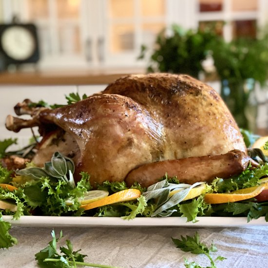 Roast Turkey with Citrus & Sage