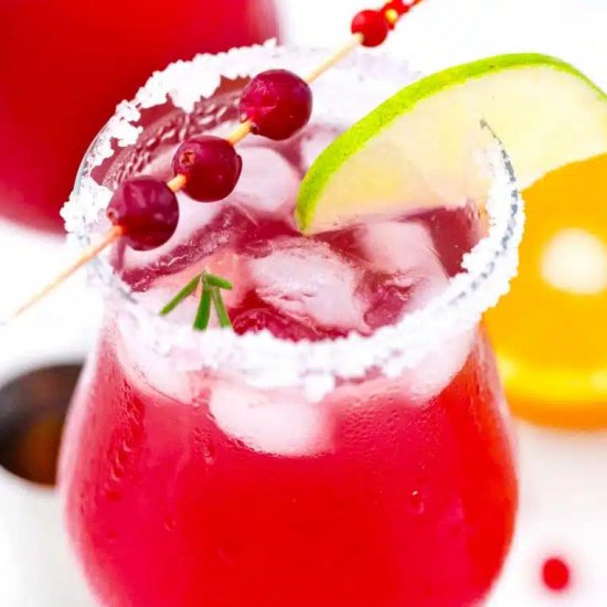 Cranberry Margarita