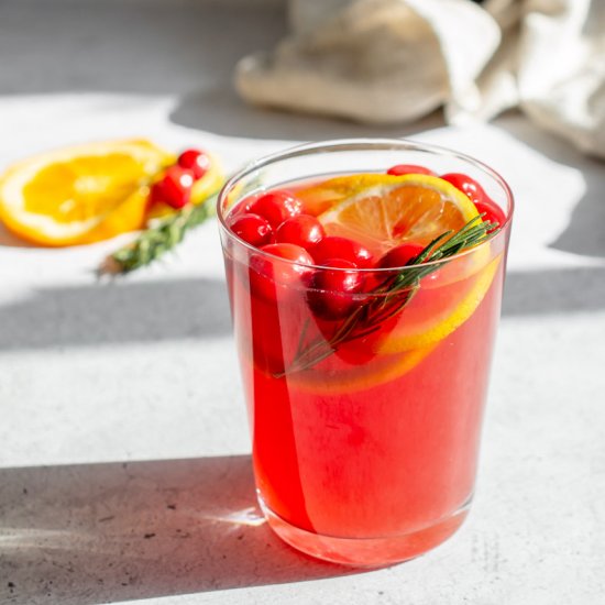 Non Alcoholic Christmas Punch