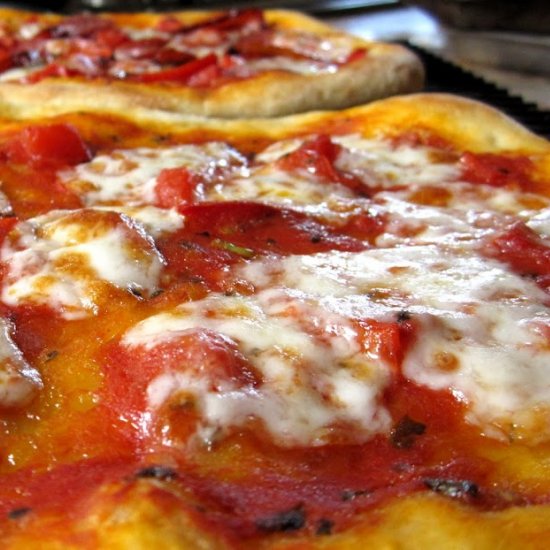 no knead pizza dough recipe