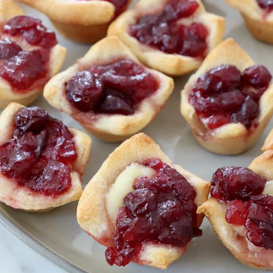 Cranberry Brie Bites