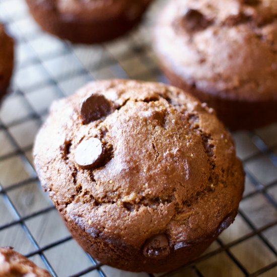 Chocolate Banana Kodiak Muffins