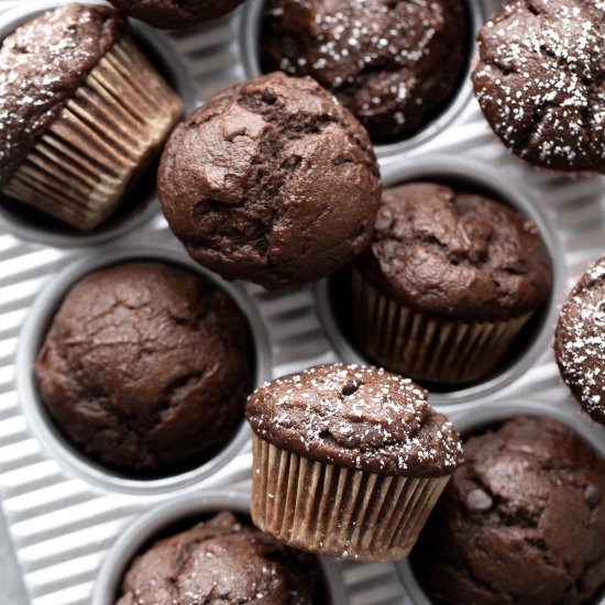 Mini Chocolate Muffins