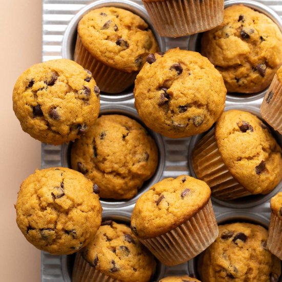 Mini Chocolate Chip Pumpkin Muffins