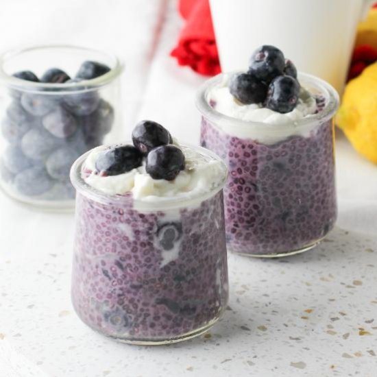 Overnight Blueberry Chia Pudding