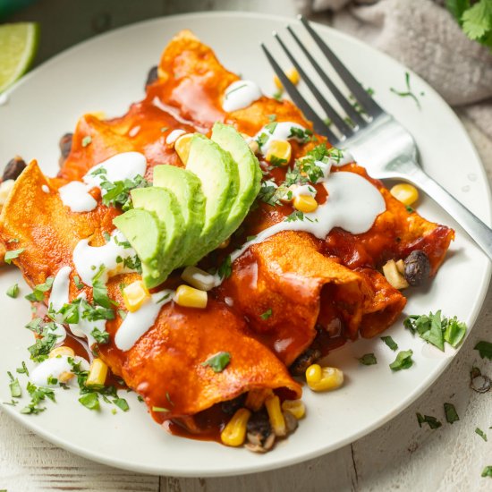 Vegan Enchiladas