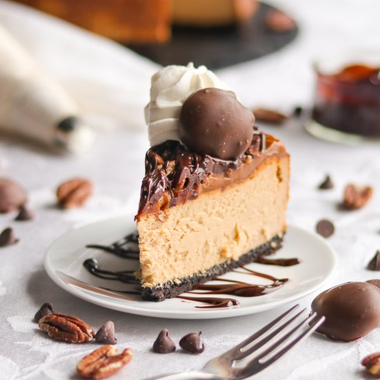 Turtle Cheesecake