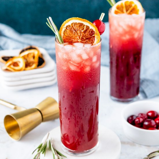 Mulled Cranberry Madras Cocktail