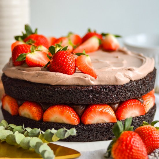 Chocolate Strawberry Fudge Cake