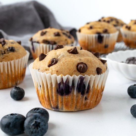 Blueberry Chocolate Chip Muffins