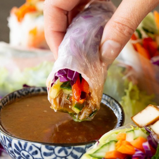 Vegetarian Rice Paper Rolls