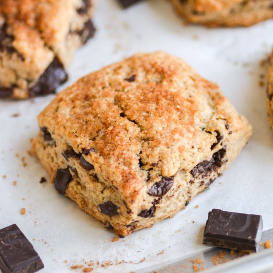 Vegan Chocolate Chip Cinnamon Scone