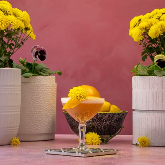 Fancy Honey Bee Cocktail