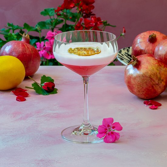 Pomegranate Fancy Sour Cocktail