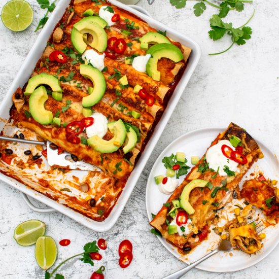 Jackfruit enchiladas