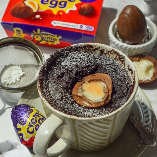 Chocolate Mug Cake In 5 Mins