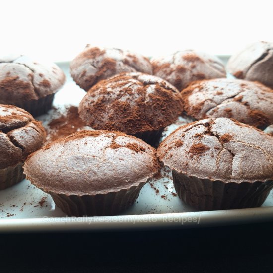 Coconut Flour Chocolate Muffins