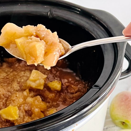 Slow Cooker Apple Cobbler