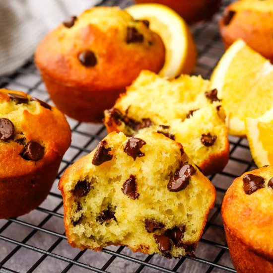 Orange Chocolate Chip Muffins