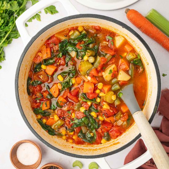 Quick and Easy Spicy Vegetable Soup