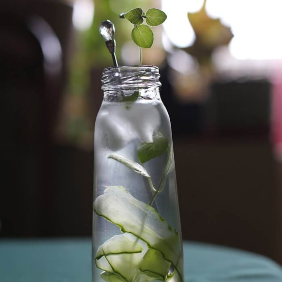 Cucumber Mojito