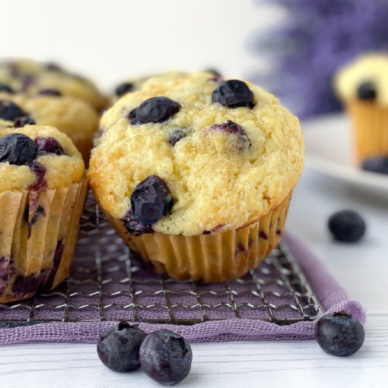 Buttermilk Blueberry Muffins